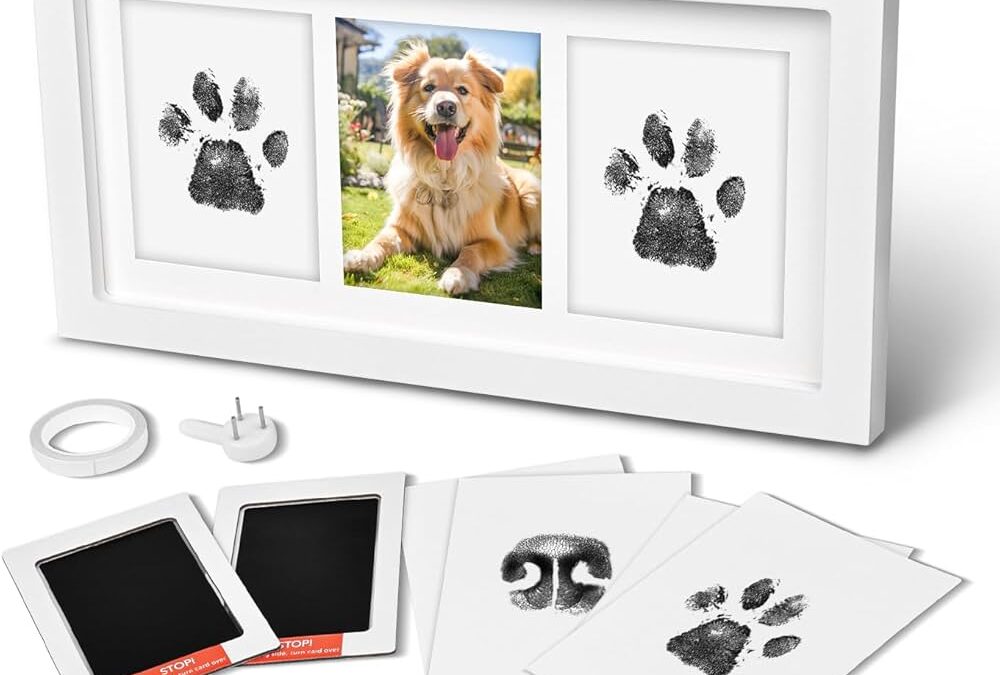 Appreciating Every Second: The Joy of Paw Print Memorabilia