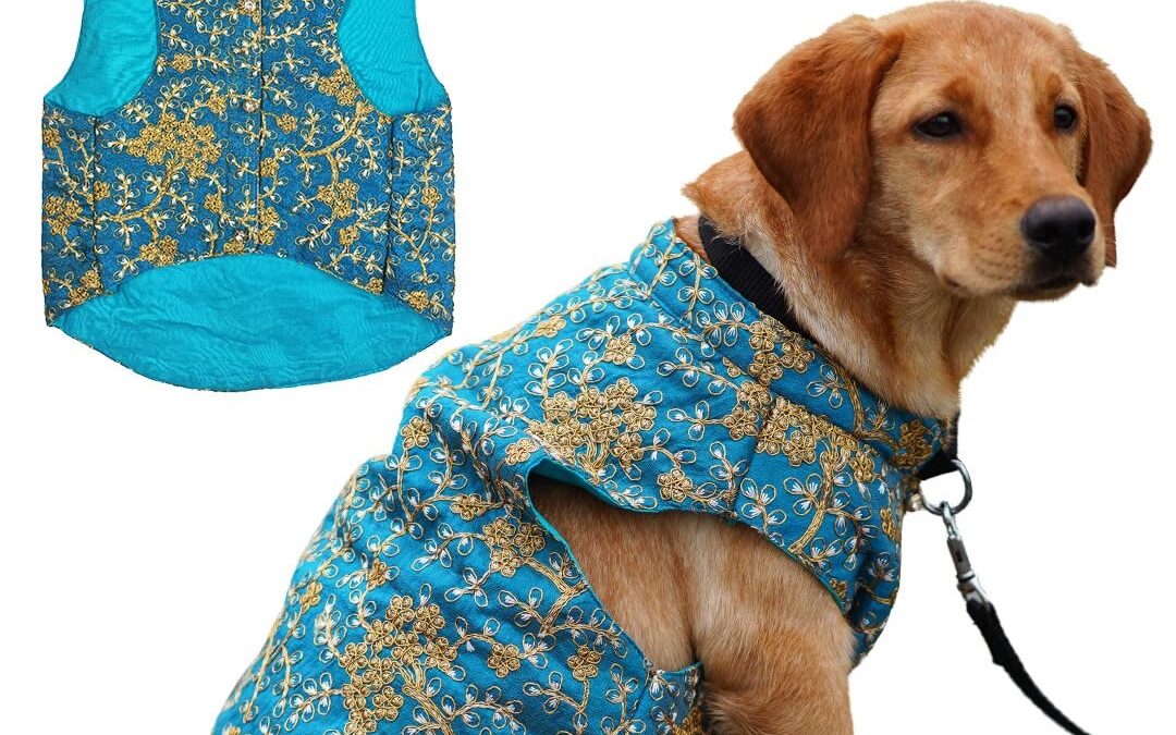 Top 5 Sherwanis for Dogs That Will Steal the Show at Any Function