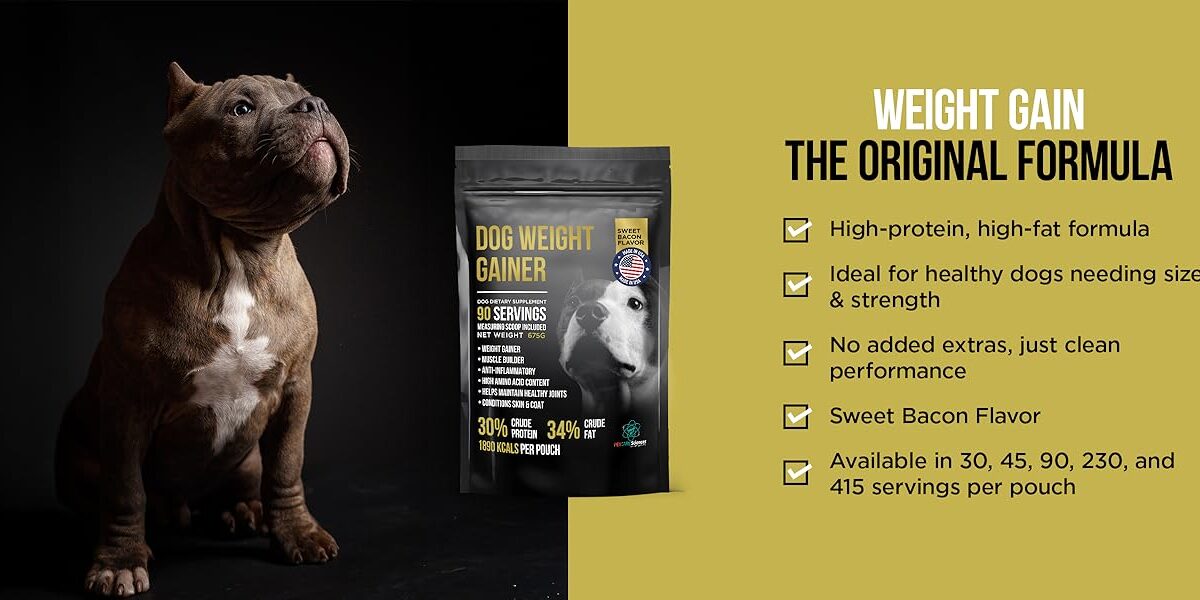 Clean-Label Weight Gainer for Dogs Gains Industry Attention