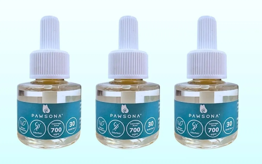 A Complete Guide to Buy Cat Stress Relief Products in Malaysia (Including Diffusers)