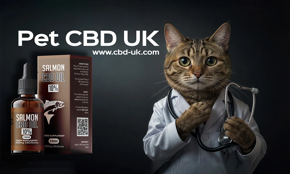 A Beginner’s Guide to Choosing a Reputable CBD Company
